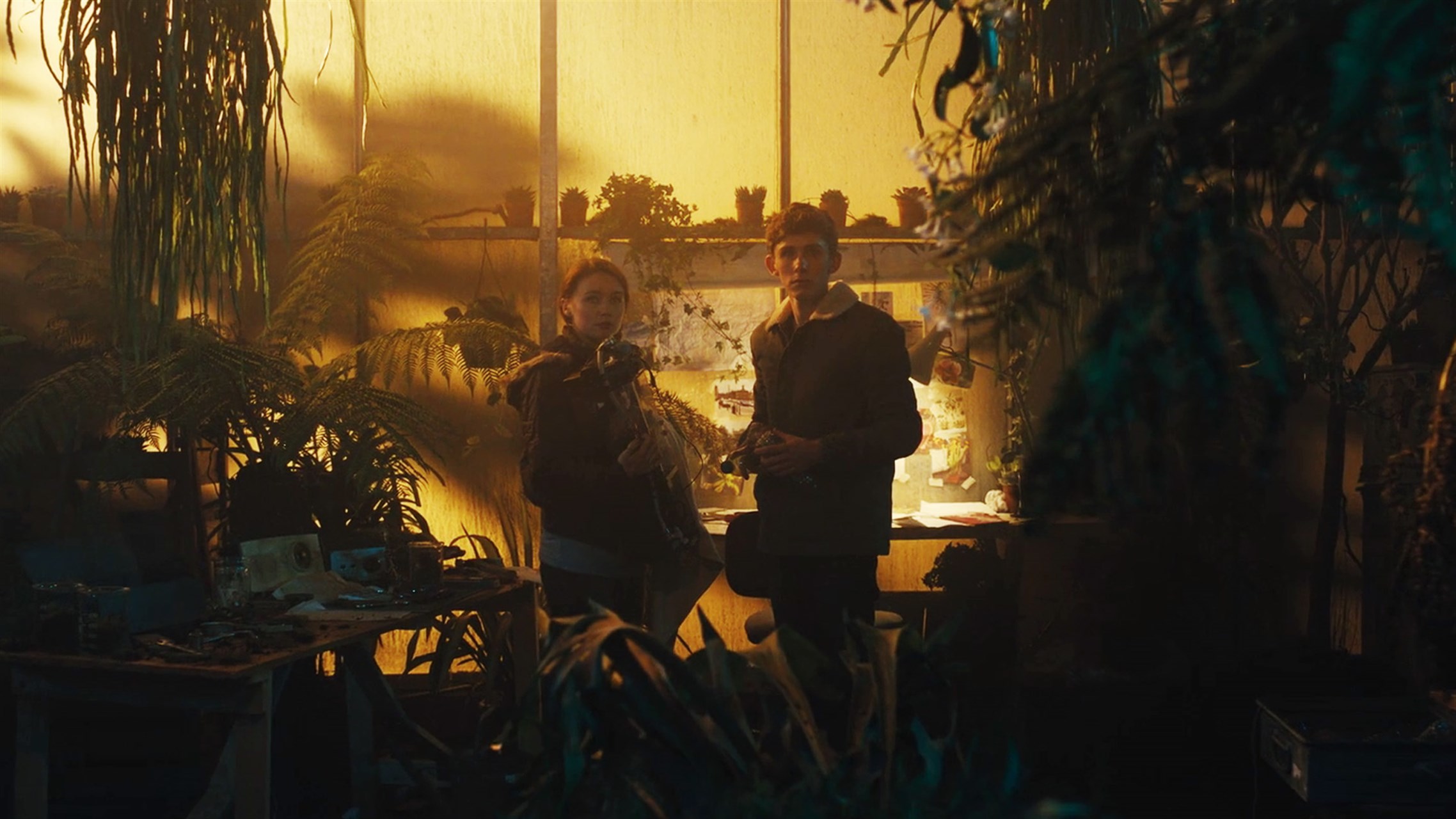 From Laugh-Out-Loud to Family-Friendly: Why Variety Matters in a Short ...